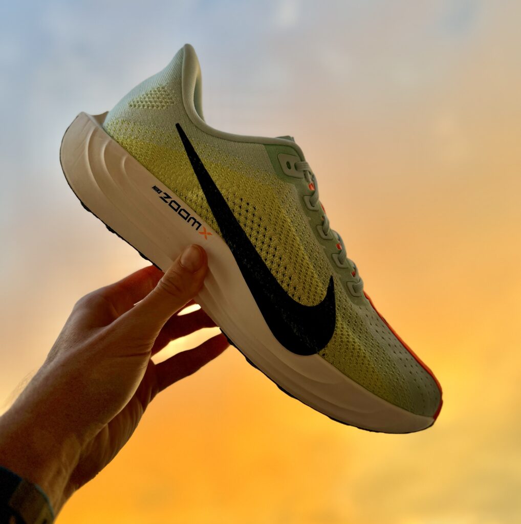 Nike Pegasus Plus sunset glamour shot